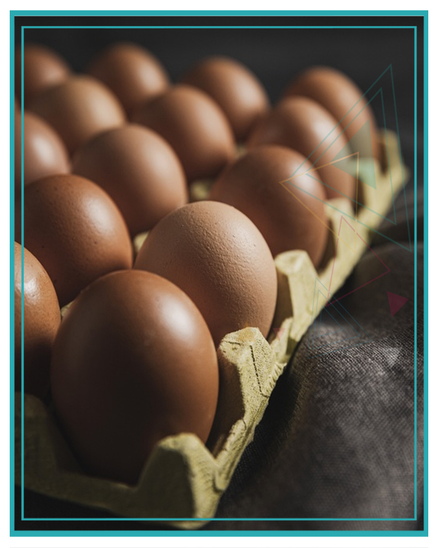 Eggs Archives Kolkata 