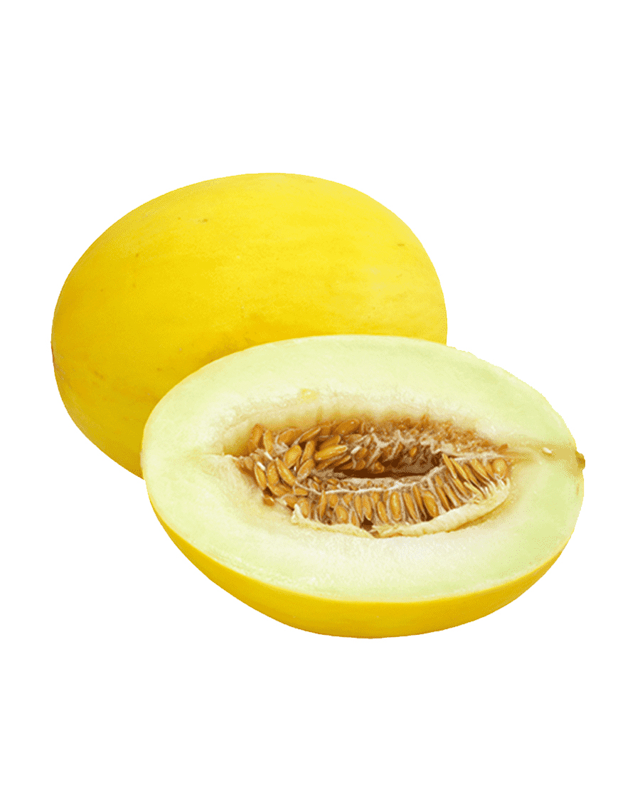 Fresh Honey Dew Melon - Kolkata Web