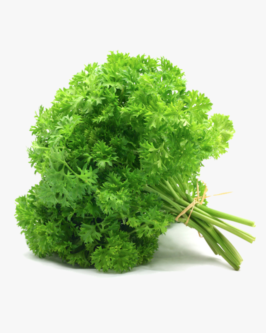 Fresh Parsley Leaves Kolkata Web Fresh Parsley Leaves Kolkata Web